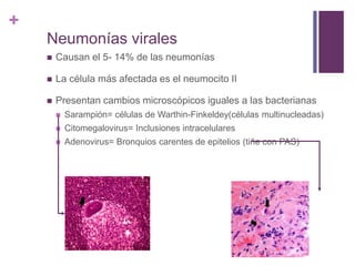 +
Neumonías virales
 Causan el 5- 14% de las neumonías
 La célula más afectada es el neumocito II
 Presentan cambios microscópicos iguales a las bacterianas
 Sarampión= células de Warthin-Finkeldey(células multinucleadas)
 Citomegalovirus= Inclusiones intracelulares
 Adenovirus= Bronquios carentes de epitelios (tiñe con PAS)
 