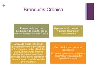 +
Bronquitis Crónica
Presencia de tos con
producción de esputo, por lo
menos 3 meses durante 2 años
Hipersecreción de moco -
> puede llegar a ser
mucopurulenta
Índice de Reid: calculando
proporción entre la proporción
entre el grosor de las glándulas
bronquialesdividido entre la
distancia que existe entre el
cartílago de la pared bronquial y
la membrana basal del epitelio
(<0.4=sanos)
↑Cél caliciformes: secreción
abundante
Al microscopio se ve metaplasia
escamosa y displasia del
epitelio bronquial
 