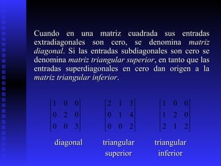 Superdiagonal Cap3 Sistemas de Ecuaciones Lineales.ppt