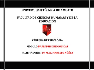 UNIVERSIDAD TÉCNICA DE AMBATO

FACULTAD DE CIENCIAS HUMANAS Y DE LA
             EDUCACIÓN




         CARRERA DE PSICOLOGÍA

     MÓDULO BASES PSICOBIOLÓGICAS

  FACILITADORES: Dr. M.Sc. MARCELO NÚÑEZ
 