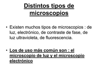 Distintos tipos de
           microscopios

• Existen muchos tipos de microscopios : de
  luz, electrónico, de contraste de fase, de
  luz ultravioleta, de fluorescencia.

• Los de uso más común son : el
  microscopio de luz y el microscopio
  electrónico
 