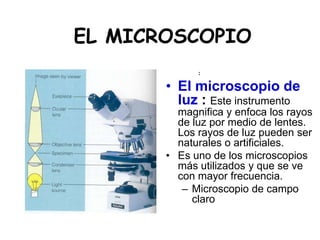EL MICROSCOPIO
             :

       • El microscopio de
         luz : Este instrumento
         magnifica y enfoca los rayos
         de luz por medio de lentes.
         Los rayos de luz pueden ser
         naturales o artificiales.
       • Es uno de los microscopios
         más utilizados y que se ve
         con mayor frecuencia.
          – Microscopio de campo
            claro
 