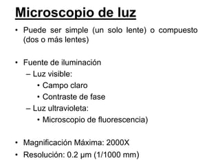 Microscopio de luz
• Puede ser simple (un solo lente) o compuesto
  (dos o más lentes)

• Fuente de iluminación
   – Luz visible:
      • Campo claro
      • Contraste de fase
   – Luz ultravioleta:
      • Microscopio de fluorescencia)

• Magnificación Máxima: 2000X
• Resolución: 0.2 µm (1/1000 mm)
 