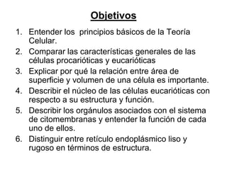 Objetivos
1. Entender los principios básicos de la Teoría
   Celular.
2. Comparar las características generales de las
   células procarióticas y eucarióticas
3. Explicar por qué la relación entre área de
   superficie y volumen de una célula es importante.
4. Describir el núcleo de las células eucarióticas con
   respecto a su estructura y función.
5. Describir los orgánulos asociados con el sistema
   de citomembranas y entender la función de cada
   uno de ellos.
6. Distinguir entre retículo endoplásmico liso y
   rugoso en términos de estructura.
 
