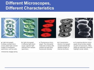 Different Microscopes,
Different Characteristics
 