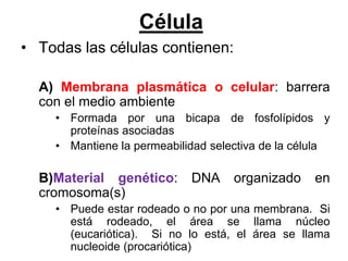 Célula
• Todas las células contienen:

  A) Membrana plasmática o celular: barrera
  con el medio ambiente
    • Formada por una bicapa de fosfolípidos y
      proteínas asociadas
    • Mantiene la permeabilidad selectiva de la célula

  B)Material genético:      DNA     organizado     en
  cromosoma(s)
    • Puede estar rodeado o no por una membrana. Si
      está rodeado, el área se llama núcleo
      (eucariótica). Si no lo está, el área se llama
      nucleoide (procariótica)
 