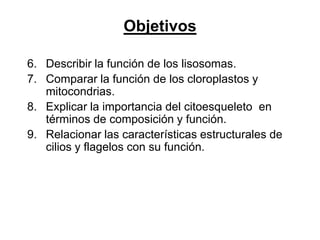 Objetivos

6. Describir la función de los lisosomas.
7. Comparar la función de los cloroplastos y
   mitocondrias.
8. Explicar la importancia del citoesqueleto en
   términos de composición y función.
9. Relacionar las características estructurales de
   cilios y flagelos con su función.
 