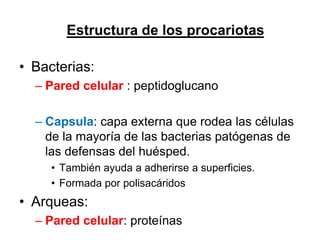 Estructura de los procariotas

• Bacterias:
  – Pared celular : peptidoglucano

  – Capsula: capa externa que rodea las células
    de la mayoría de las bacterias patógenas de
    las defensas del huésped.
     • También ayuda a adherirse a superficies.
     • Formada por polisacáridos
• Arqueas:
  – Pared celular: proteínas
 