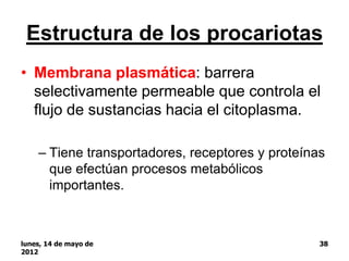 Estructura de los procariotas
• Membrana plasmática: barrera
  selectivamente permeable que controla el
  flujo de sustancias hacia el citoplasma.

    – Tiene transportadores, receptores y proteínas
      que efectúan procesos metabólicos
      importantes.



lunes, 14 de mayo de                              38
2012
 