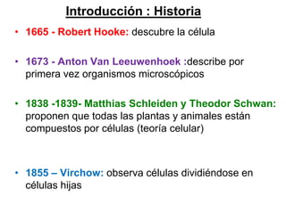 Introducción : Historia
• 1665 - Robert Hooke: descubre la célula

• 1673 - Anton Van Leeuwenhoek :describe por
  primera vez organismos microscópicos

• 1838 -1839- Matthias Schleiden y Theodor Schwan:
  proponen que todas las plantas y animales están
  compuestos por células (teoría celular)



• 1855 – Virchow: observa células dividiéndose en
  células hijas
 