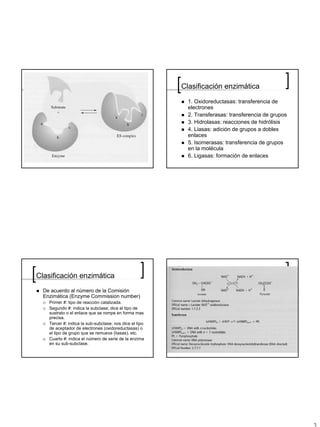 Clasificación enzimática
                                                           1. Oxidoreductasas: transferencia de
                                                           electrones
                                                           2. Transferasas: transferencia de grupos
                                                           3. Hidrolasas: reacciones de hidrólisis
                                                           4. Liasas: adición de grupos a dobles
                                                           enlaces
                                                           5. Isomerasas: transferencia de grupos
                                                           en la molécula
                                                           6. Ligasas: formación de enlaces




Clasificación enzimática
  De acuerdo al número de la Comisión
  Enzimática (Enzyme Commission number)
    Primer #: tipo de reacción catalizada.
    Segundo #: indica la subclase; dice el tipo de
    sustrato o el enlace que se rompe en forma mas
    precisa.
    Tercer #: indica la sub-subclase; nos dice el tipo
    de aceptador de electrones (oxidoreductasas) o
    el tipo de grupo que se remueve (liasas), etc.
    Cuarto #: indica el número de serie de la enzima
    en su sub-subclase.
 