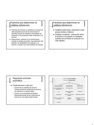 Factores que determinan la                        Factores que determinan la
catálisis (eficiencia)                            catálisis (eficiencia)

Factores de entropía: la pérdida en entropía es    Catálisis ácido-base: interacción entre
más pequeña que la de las reacciones en            grupos ácidos y básicos.
solución porque los reactivos, los estados de
transición y los productos están enlazados a la
                                                   Catálisis covalente: interacción entre
enzima.                                            la enzima y el sustrato es inestable;
Distorciones: cambios en la conformación           sustrato se convierte en producto con
cuando se enlaza la enzima. Hay distorción del     más rápidez.
sustrato, se destabilizan los enlaces y se
forman o rompen con más facilidad los enlaces.




  Regulación actividad
  enzimática

 Puede llevarse a cabo por:
    Control de la cantidad de enzima:
    número actual de moléculas de enzima
    por célula en un tiempo dado.
    Control de la actividad enzimática:
    efectividad actual de las moléculas de
    enzima en una célula determinada.
 