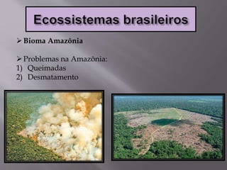 Bioma Amazônia
Problemas na Amazônia:
1) Queimadas
2) Desmatamento
 