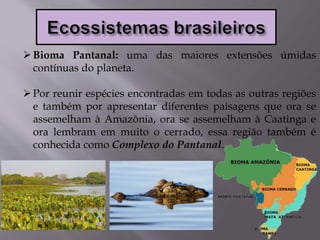 Bioma Pantanal: uma das maiores extensões úmidas
contínuas do planeta.
Por reunir espécies encontradas em todas as outras regiões
e também por apresentar diferentes paisagens que ora se
assemelham à Amazônia, ora se assemelham à Caatinga e
ora lembram em muito o cerrado, essa região também é
conhecida como Complexo do Pantanal.
 
