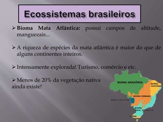 Bioma Mata Atlântica: possui campos de altitude,
manguezais...
A riqueza de espécies da mata atlântica é maior do que de
alguns continentes inteiros.
Intensamente explorada! Turismo, comércio e etc.
Menos de 20% da vegetação nativa
ainda existe!
 