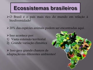 O Brasil é o país mais rico do mundo em relação à
biodiversidade!
20% das espécies animais podem ser encontradas aqui.
Isso acontece por:
1) Vasta extensão territorial
2) Grande variação climática
 Isso gera grande chances de
adaptação em diferentes ambientes!
 