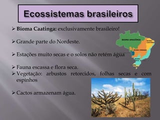 Bioma Caatinga: exclusivamente brasileiro!
Grande parte do Nordeste.
Estações muito secas e o solos não retém água
Fauna escassa e flora seca.
Vegetação: arbustos retorcidos, folhas secas e com
espinhos
Cactos armazenam água.
 