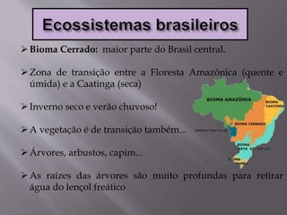 Bioma Cerrado: maior parte do Brasil central.
Zona de transição entre a Floresta Amazônica (quente e
úmida) e a Caatinga (seca)
Inverno seco e verão chuvoso!
A vegetação é de transição também...
Árvores, arbustos, capim...
As raízes das árvores são muito profundas para retirar
água do lençol freático
 