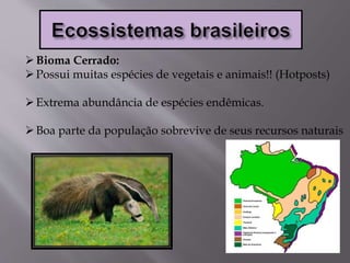Bioma Cerrado:
Possui muitas espécies de vegetais e animais!! (Hotposts)
Extrema abundância de espécies endêmicas.
Boa parte da população sobrevive de seus recursos naturais
 