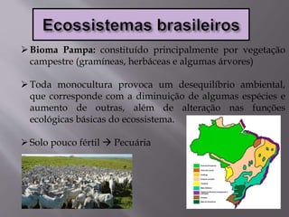 Bioma Pampa: constituído principalmente por vegetação
campestre (gramíneas, herbáceas e algumas árvores)
Toda monocultura provoca um desequilíbrio ambiental,
que corresponde com a diminuição de algumas espécies e
aumento de outras, além de alteração nas funções
ecológicas básicas do ecossistema.
Solo pouco fértil  Pecuária
 