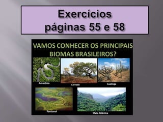 Cap 4 ecossistemas brasileiros