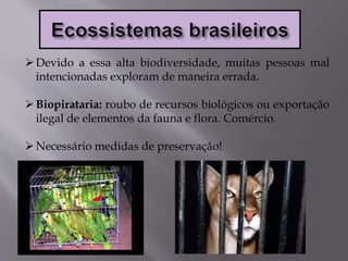 Devido a essa alta biodiversidade, muitas pessoas mal
intencionadas exploram de maneira errada.
Biopirataria: roubo de recursos biológicos ou exportação
ilegal de elementos da fauna e flora. Comércio.
Necessário medidas de preservação!
 