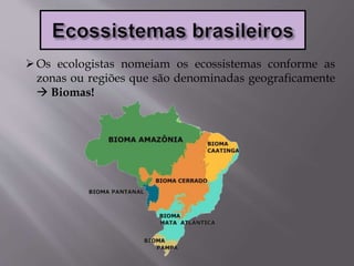 Os ecologistas nomeiam os ecossistemas conforme as
zonas ou regiões que são denominadas geograficamente
 Biomas!
 