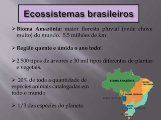 Bioma Amazônia: maior floresta pluvial (onde chove
muito) do mundo. 5,5 milhões de km
Região quente e úmida o ano todo!
2 500 tipos de árvores e 30 mil tipos diferentes de plantas
e vegetais.
 20% de toda a quantidade de
espécies animais catalogadas em
todo o mundo.
 1/3 das espécies do planeta.
 