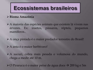 Bioma Amazônia
A maioria das espécies animais que existem lá vivem nas
árvores. Ex: insetos, pássaros, répteis, pequenos
mamíferos..
A onça pintada é o maior predador terrestre do Brasil!
A anta é o maior herbívoro!
A sucuri, cobra mais pesada e volumosa do mundo,
chega a medir até 10 m.
O Pirarucu é o maior peixe de água doce  200 kg e 3m
 
