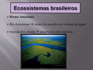 Bioma Amazônia
Rio Amazonas  maior do mundo em volume de água!
Inundações anuais  adaptações das espécies.
 