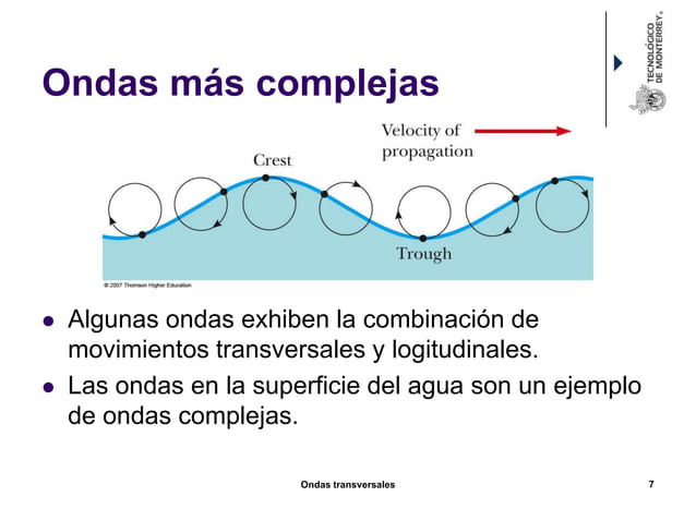 Cap4 ondas transversales 2 PPT