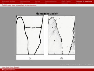 Diagramas de fase         Regla de Gibbs          Curvas   Sistemas binarios   Regla Palanca   Sistemas de aleaciones

Solidiﬁcaci´n fuera del equilibrio de las aleaciones
           o




                                                   Homogeneizaci´n
                                                                o




Juan Jos´ Reyes Salgado
        e
Diagramas de fase.
 