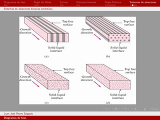 Diagramas de fase         Regla de Gibbs     Curvas   Sistemas binarios   Regla Palanca   Sistemas de aleaciones

Sistemas de aleaciones binarias eut´cticas
                                   e




Juan Jos´ Reyes Salgado
        e
Diagramas de fase.
 