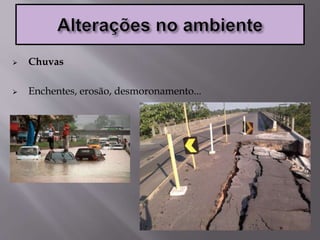  Chuvas
 Enchentes, erosão, desmoronamento...
 