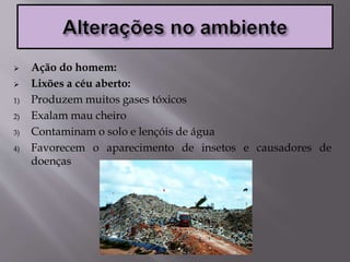  Ação do homem:
 Lixões a céu aberto:
1) Produzem muitos gases tóxicos
2) Exalam mau cheiro
3) Contaminam o solo e lençóis de água
4) Favorecem o aparecimento de insetos e causadores de
doenças
 