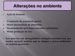  Ação do homem:
 O aumento da população gerou:
1) Maior necessidade de alimentos
2) Desmatamento para fazer moradia e plantações
3) Maior produção de lixo
 Isso provoca um desequilíbrio ecológico fazendo com que
muitos animais tenham que se adaptar a novos ambientes
ou acabem morrendo..
 