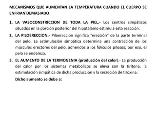 MECANISMOS QUE AUMENTAN LA TEMPERATURA CUANDO EL CUERPO SE
ENFRIAN DEMASIADO
1. LA VASOCONSTRICCION DE TODA LA PIEL.- Los centros simpáticos
situados en la porción posterior del hipotálamo estimula esta reacción.
2. LA PILOERECCION.- Piloerección significa “erección” de la parte terminal
del pelo. La estimulación simpática determina una contracción de los
músculos erectores del pelo, adheridos a los folículos pilosos; por eso, el
pelo se endereza.
3. EL AUMENTO DE LA TERMOGENIA (producción del calor).- La producción
del calor por los sistemas metabólicos se eleva con la tiritona, la
estimulación simpática de dicha producción y la secreción de tiroxina.
Dicho aumento se debe a:
 