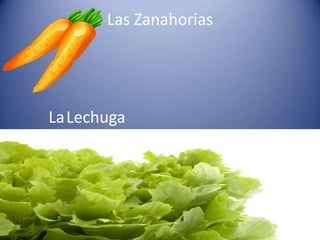 Las Zanahorias
LaLechuga