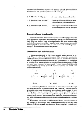 concentracionesde lasformasdisociadasynodisociadaspara cada gmpodisociablede
losaminoácidos,pero, para finesprácticossepuedeasumirque:
Si pA del medio=pK del grupo [formadisociada]=[forniano disociada]
Si pH del medio es>pK del grupo entonces predomina la forma disociada y
[formadisociada]>[formanodisociada]
Si pH del medio es<pK del grupo entoncespredomina la forma no disociada
y [formano disociada]>[formadisociada]
Especiesiónirasdelos aminoácidos
Deacuerdoconloantesexpuesto,acercadela disociacióndelosgmposdisociables
de losaminoácidos,éstospodrán existir en forma de especiesiónicasdistintassegún el
valor del pH del medio en que se encuentren disueltos. El comportamiento de los
aminoácidos en cuanto a cantidad y variedad de sus especies iónicas depende del
número y tipo de susgruposdisociahles,espor elloconveniente analizarlospor sepa-
rado para losaminoácidos neutros, ácidosy básicos.
Especiesi6niu1.sde las aminoácidas neutros
Para estosaminoácidos,el pK,corresponde al pK del gmpo a carboxilo yelpK,
alpKdel grnpoo. amino.Analizaremoslasespeciesiónicaspara estetipodeaminoácido
a partir de valores bajos de pH, menores al valor de su pK,, situación en la que para
todos losgrupospredomiiiará lafonna nodisociada,ya que será pH<pK para ambos
grupos, especie (a):en esta condiciónel grupo carboxilo no presentará carga eléctrica
y el grupo amino presentará carga eléctrica de +1, por lo que el aminoácido tendrá
carga eléctrica neta positiva (+1) ysituadoen u11campo eléctrico sería atraído por el
polo negativo (cátodo).
Siseaumenta el pH del medio dedisolucióndel aminoácido hasta un valor de pH
que sea mayor que pK,, pero menor que pK, (pK, <pH < pKJ, el grnpo carboxilo
predominará ensu formadisociadaypor tanto presentará carga eléctricade -1;mien-
tras elgrupo amino predominará en suforma no disociada (cargaeléctrica de +l),de
dondela carga neta del aminoácidoserá igual a cero, especie (h);en tal condición el
aminoácido no mostrará afinidad por ninguno de los polosde un campoeléctricoy,
por tanto, no sena atraídopor ningunode ellos;esta especieiónicaseconocecomoion
dipolar.
Sise continúa aumentandoelpH del medio hasta lograr que su valor sea mayor
queelvalor depK,,entonces para ambosgrupos predominará laformadisociadayp a n
tal situaciónelgripecarboxilopresentará carga eléctricanegativa(-l),en tanto queel
 