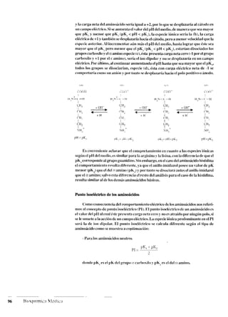 y la carga iieta del aiiiiiioácido sería igual a +2. por lo quesedesplazaría al cátodo en
iiii caiiipueltctric~~.Si seaiiiiieiita el valor del pH del iiiedio.de iiiaiiera qiir sea iiiayi~r
que pK, y iiieiior que pK, (pK, < pll < [>ti,),la especie iúiiica sería la (h), la carga
eléctrica de +1y taiiibiéii sedesplazaría Iiacíael cátodo, pero a iiieiior velocidadque la
especic aiiterior. A1 iiicreiiiciilar ;iúii iiiás el pH del iiicdio, hasta lograr que éste sea
mayor qiie el p k . pero menor que cl pK; ípK, < pH < pK,). estaríaii disoriados los
griiposcarhoxilo y el aamino especie(c).ésta presenta carga neta cero (-1por el grupo
carbosilo y +1por el E aiiiiiio), sería el ioii dipolar y iio se desplazaría en uii caiiipo
eléctrico. Por último, al coiitiiiuar auiiieiitaiidoel pll hasta quesea mayor queel pK,,
todos los grupos se disociariaii, especie Id), ésta con carga eléctrica neta dc -1 se
coiiip(wlaríarnnio iiii a n i h y por t;into se deyhcaríii hacia el polo positivo o ánocln.
Es coiiveiiieiile aclarar que el coiiiportaiiiieiito cii cuaiito a las especies iúiiicas
según el pH dcl iiicdio. esiniilarpara la aryiiiina y la lisiiia. con la difcreiici;~de qiie el
pk, corresponde al grupogiianidin~~.Sin eml>argo.eiiel casodel aminoácidohistidina
el comportainiento resulta diferente, ya qiie el anillo imidazol posee un valor de pK
menor (pK,)queel del oamino (pk,) y por tantosedisociará antes el anillo imidazol
que el o!amino: s?lw esta difcrcncia el rcsto del análisis para el caso de la Iiistidina.
resulta similar al de losdeiiiás aniiiioácidosbásicos.
Puntoisoeléctricode los aminoácidos
Comoconsecuencia del coinportamiento eléctrico de losaminoácidos nos referi-
mos al concepto de piiiito isoeléctrico (1'1). KI punto isoeléctrico de un aiiiiiio5cido es
el i-alor del p11 al riial éstepreseiitn carga iicta ceroy no esatraído por iiiiigúii polo,si
seIc soiiictca la acción de uii caiiipo eléctrico.La especieióiiica predoii~iiiaiiteeiiel PI
será la de ioii dipolai: El piiiito isoeléctrico se calcula diferente segúii ei tipo de
aiiiinoácidocomo seiiiiiestra a coptiniiacióii:
- Paw losaiiiiiio6cidosiieiitros
 