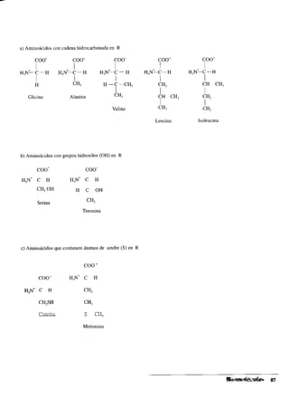 a) Aminoácidos con cadena hidrocatboiiada en R
coo- coo- c o o - coo- c o o -
1 I
H>N-C-H H,N-C-H
l
H,N-C- H
l
H,N+-c-H
1
H , N ~ C - H
I
H
l
CH,
l
H -C -CH,
l I
cH2 CH CH,
Alanina
I
Glicina CH,
I
CH CH,
1
l
CH,
Valina CH,
I
CH,
Leucina Isoleucina
b) Aminoácidos con grupos hidroxilos (OH) en R
coo- c o o -
H,N+ c H H,N+ c H
CH, OH H C OH
Serina CH3
Treonina
c) Aminoácidos que contienen átomos de azufre (S) en R
coo-
c o o - H,N+ c H
H,N+ C H CH,
CH$H CH,
m:-.-:-- 0 0.6
L..,LC,U'. * . A L 3
Metionina
 
