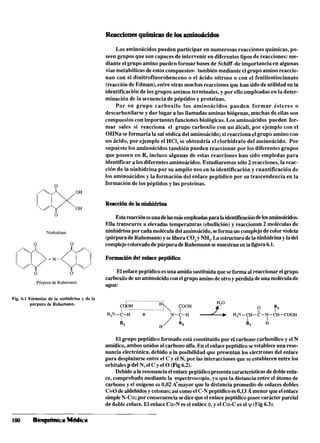 Reaccionesquímicasde los aminoácidos
Púmura de Ruhemann
Fig. 6.1 Fórmulas de la ninhidrina y de la
púrpura de Ruhemann.
Lo...