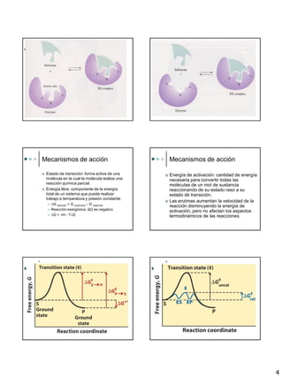 4
Mecanismos de acción
 Estado de transición: forma activa de una
molécula en la cual la molécula realiza una
reacción química parcial.
 Energía libre: componente de la energía
total de un sistema que puede realizar
trabajo a temperatura y presión constante.
 G reacción = G productos – G reactivos
 Reacción exergónica: ΔG es negativo
 G = H - T S
Mecanismos de acción
 Energía de activación: cantidad de energía
necesaria para convertir todas las
moléculas de un mol de sustancia
reaccionando de su estado raso a su
estado de transición.
 Las enzimas aumentan la velocidad de la
reacción disminuyendo la energía de
activación, pero no afectan los aspectos
termodinámicos de las reacciones.
 