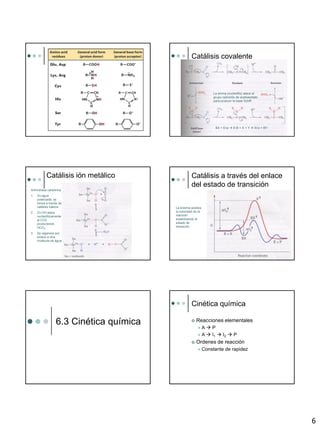 6
Catálisis covalente
La amina (nucleofilo) ataca el
grupo carbonilo de acetoacetato
para producir la base Schiff.
BX + Enz  E:B + X + Y  Enz + BY
Catálisis ión metálico
Anhindrasa carbónica
1. Zn-agua
polarizada: se
ioniza a través de
catálisis básica.
2. Zn-OH ataca
nucleofilicamente
al CO2
produciendo
HCO3
-
3. Se regenera por
enlace a otra
molécula de agua
Catálisis a través del enlace
del estado de transición
La enzima acelera
la velocidad de la
reacción
estabilizando el
estado de
transición.
6.3 Cinética química
Cinética química
 Reacciones elementales
 A  P
 A  I1  I2  P
 Ordenes de reacción
 Constante de rapidez
 