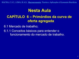Nesta Aula CAPÍTULO  6 – Primórdios da curva de oferta agregada 6.1 Mercado de trabalho;  6.1.1 Conceitos básicos para entender o funcionamento do mercado de trabalho. 