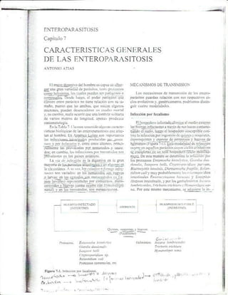 Atias Parasitología Médica Cap 7- Caracteristicas Generales de las Enteroparasitosis
