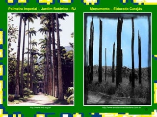 http://www.svb.org.br/ http://www.emdiacomacidadania.com.br/ Palmeira Imperial – Jardim Botânico - RJ Monumento – Eldorado Carajás 