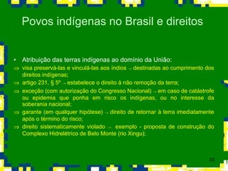 Atribuição das terras indígenas ao domínio da União: visa preservá-las e vinculá-las aos índios  ->  destinadas ao cumprimento dos direitos indígenas; artigo 231,  §  5º  ->  estabelece o direito à não remoção da terra; exceção (com autorização do Congresso Nacional)  ->  em caso de catástrofe ou epidemia que ponha em risco os indígenas, ou no interesse da soberania nacional; garante (em qualquer hipótese)  ->  direito de retornar à terra imediatamente após o término do risco; direito sistematicamente violado  ->  exemplo  - proposta de construção do Complexo Hidrelétrico de Belo Monte (rio Xingu); Povos indígenas no Brasil e direitos  