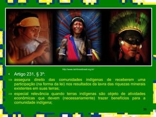 Artigo 231,  §  3º: assegura direito das comunidades indígenas de receberem uma participação (na forma da lei) nos resultados da lavra das riquezas minerais existentes em suas terras; especial relevância quando terras indígenas são objeto de atividades econômicas que devem (necessariamente) trazer benefícios para a comunidade indígena;  http://www.rainforestbrasil.org.br/ 