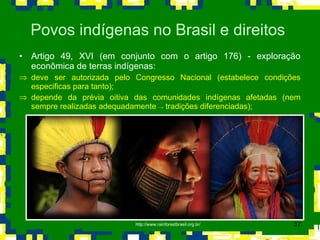 Artigo 49, XVI (em conjunto com o artigo 176) - exploração econômica de terras indígenas:  deve ser autorizada pelo Congresso Nacional (estabelece condições especificas para tanto); depende da prévia oitiva das comunidades indígenas afetadas (nem sempre realizadas adequadamente  ->  tradições diferenciadas);  Povos indígenas no Brasil e direitos  http://www.rainforestbrasil.org.br/ 